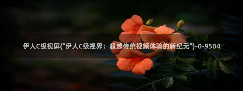 伊人大蕉网视频在线播放：伊人C级视屏(\